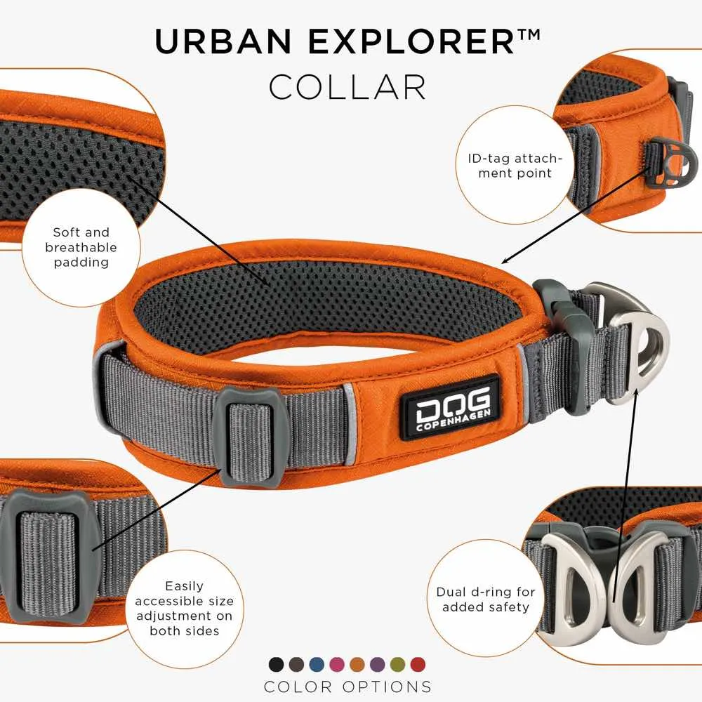 DOG Copenhagen Urban Explorer Dog Collar (Orange Sun)